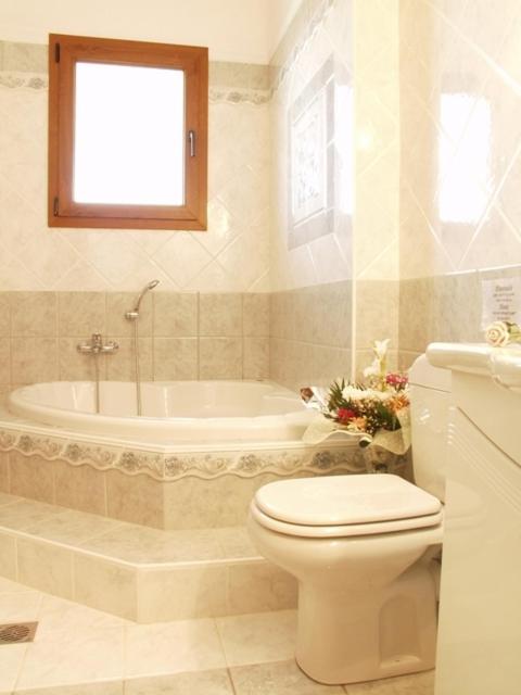 Hotel Archontiko Dimitra 베르기나 객실 사진